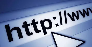 金華網絡公司 網站建設與全網營銷系統技術推廣指南