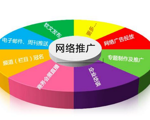 全程技術(shù)推廣 驅(qū)動(dòng)數(shù)字化轉(zhuǎn)型的核心引擎